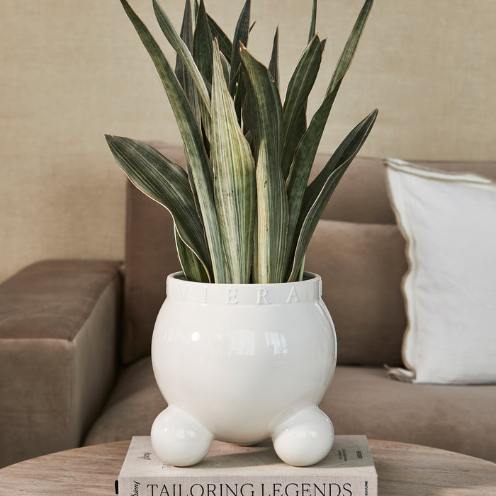 474b2f14-37a5-46b6-a8aa-32f3d5bee5f3-sfeerbeeld.jpg (9939476)