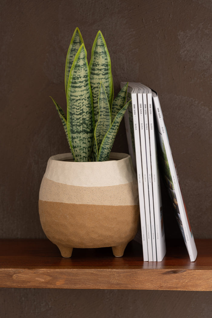 5c01707c-2854-44d0-a0d4-32780fc8c450-afbeelding3.jpg (9939855)