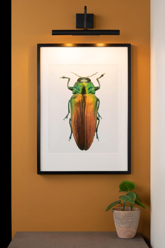 Lucide VINZ Schilderijverlichting - Zwart