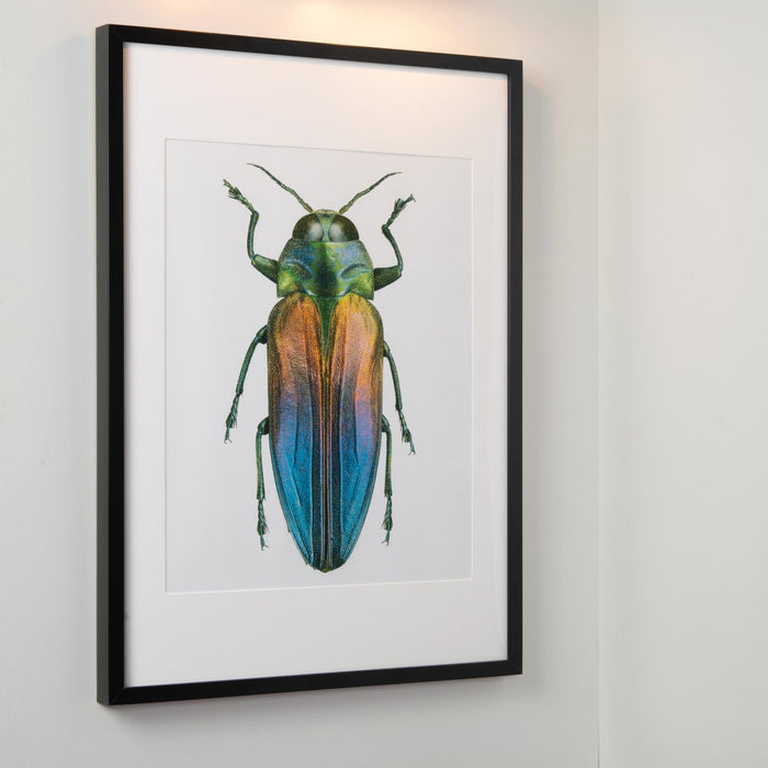 Lucide VINZ Schilderijverlichting - Mat Goud | Messing