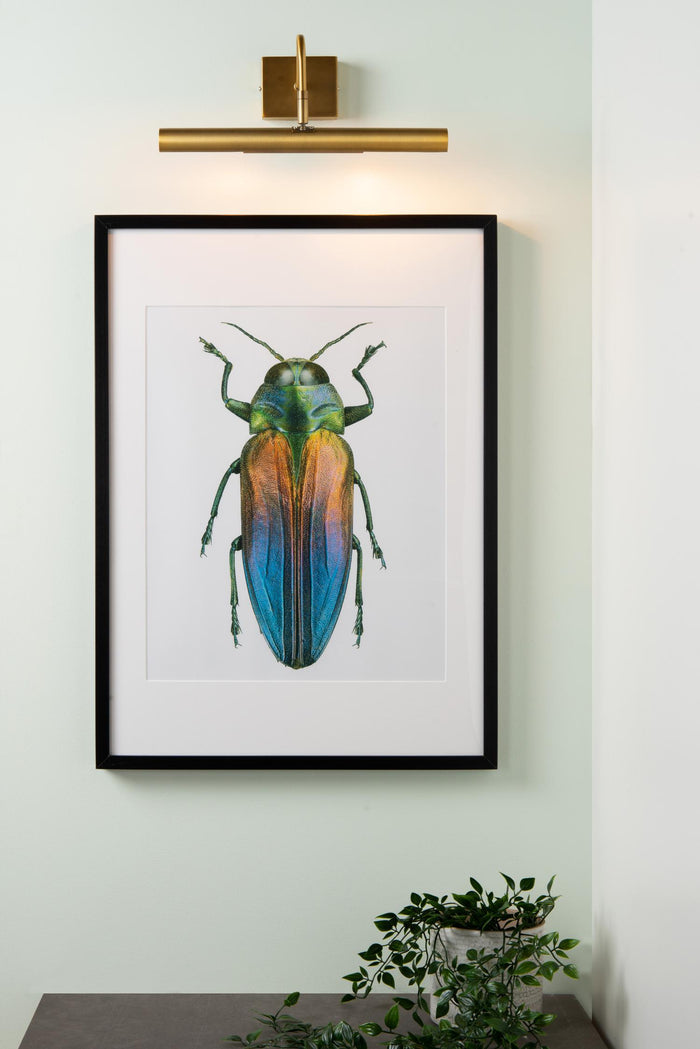 Lucide VINZ Schilderijverlichting - Mat Goud | Messing