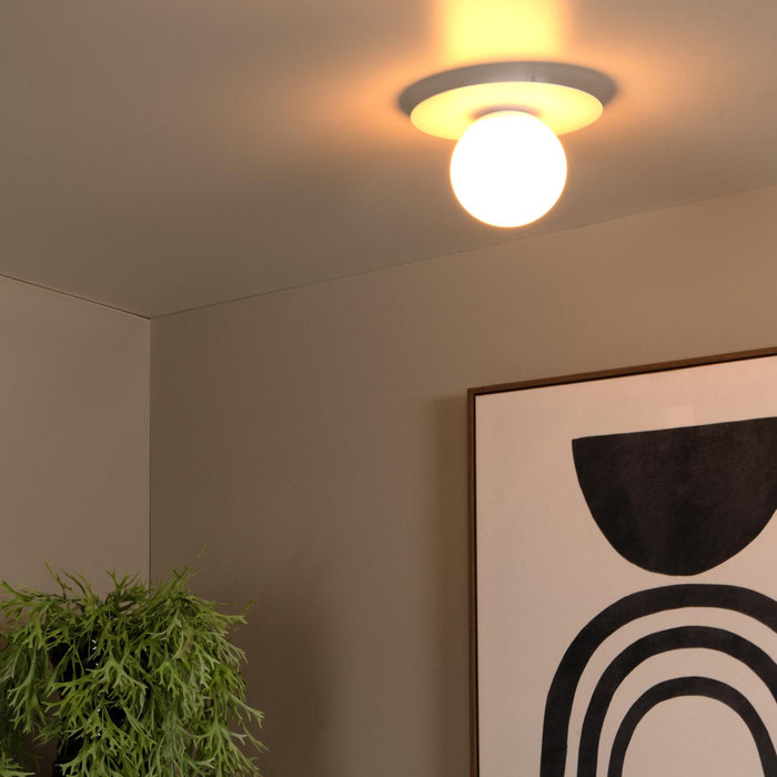 f07ccc4b-fdaa-469c-93f1-81d836807744-afbeelding4.jpg (9951113)