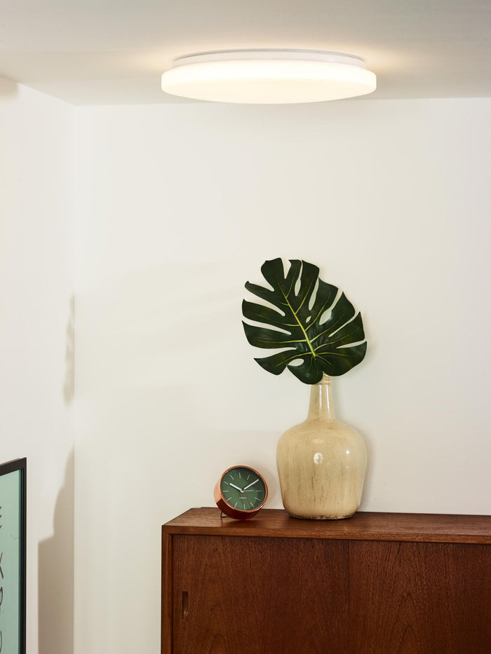 cedc0b45-27f3-43ff-83ff-837c07529ff1-afbeelding4.jpg (9951551)