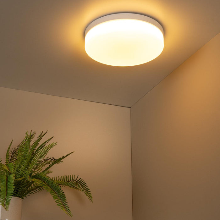 c795fa01-0ce2-45f3-98d3-af4934381378-afbeelding4.jpg (9952231)