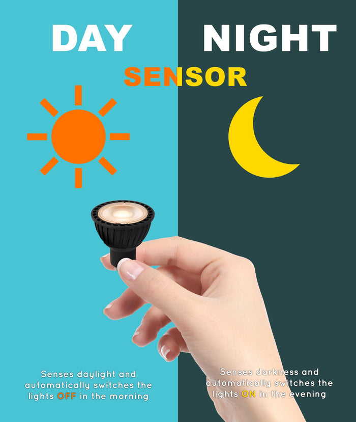 6ee4cd0e-21bc-440a-ad62-67f06956917d-afbeelding4.jpg (9952979)