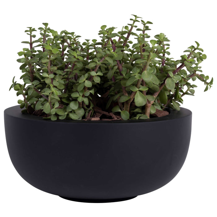 e2931d5b-fd72-43e5-a7a7-a4ad473d5e1b-sfeerbeeld.jpg (9953722)