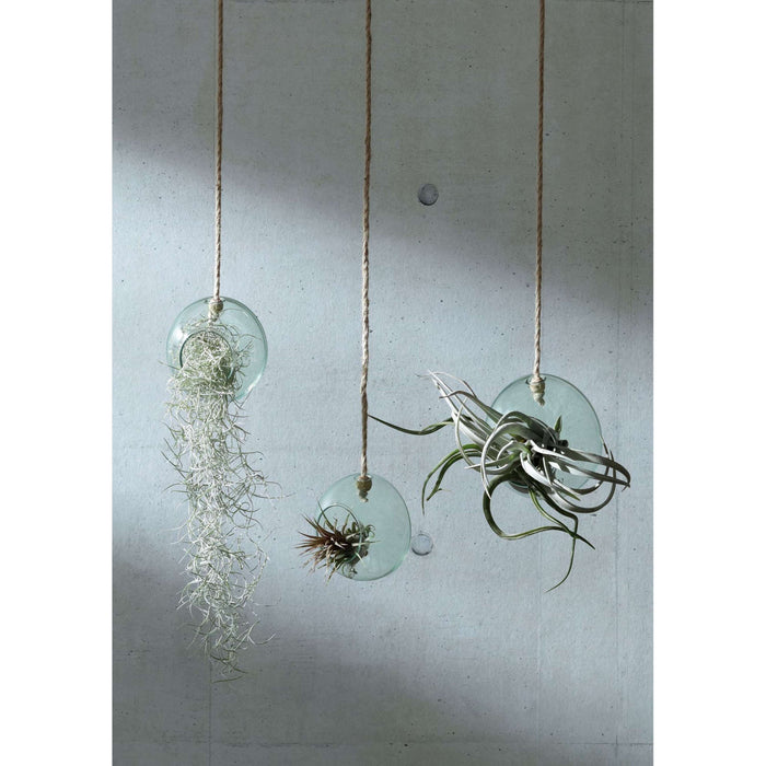 L.S.A. - Canopy Plantenhanger ø 10 cm