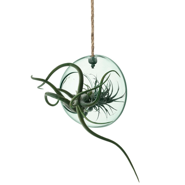 L.S.A. - Canopy Plantenhanger ø 12 cm