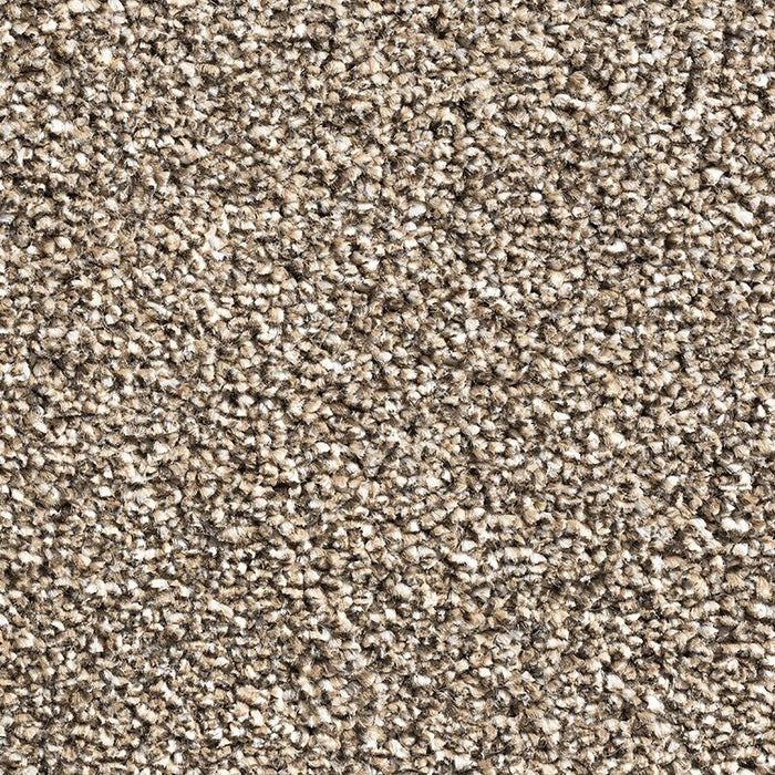 MD Entree - Deurmat - Droogloopmat - Sahara - Sand - 80 x 120 cm