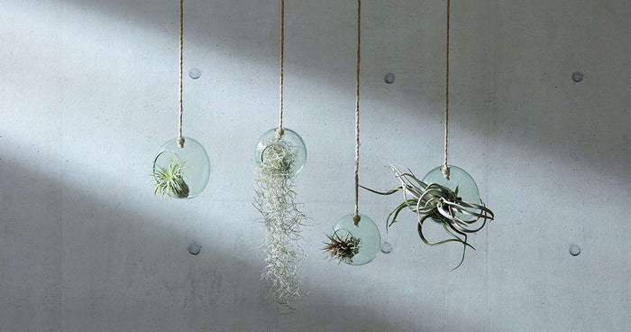 L.S.A. - Canopy Plantenhanger ø 10 cm