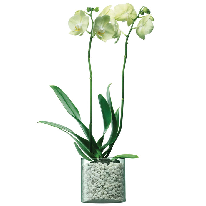 L.S.A. - Canopy Vaas 14 cm Recycled