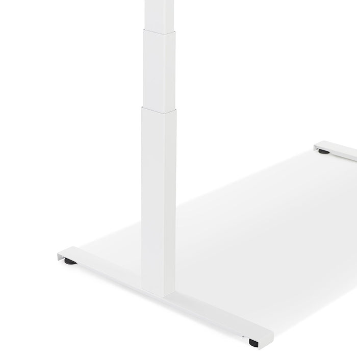 3d9d3d6d-7a6a-44d6-9487-9d650f22f856-afbeelding10.jpg (9962285)