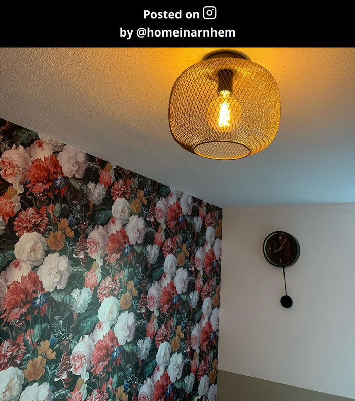 e4778c84-c5e5-4a32-85b5-a9fd5f4b7dd1-afbeelding11.jpg (9971124)