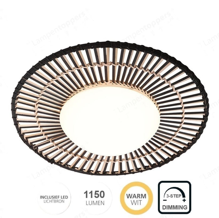 11bae174-e544-4f68-9a2a-06e054d5d222-afbeelding3.jpg (9975856)