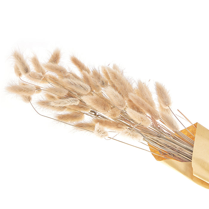 293e13a3-adab-4d0b-af2a-f890ec5534ff-afbeelding4.jpg (9978762)