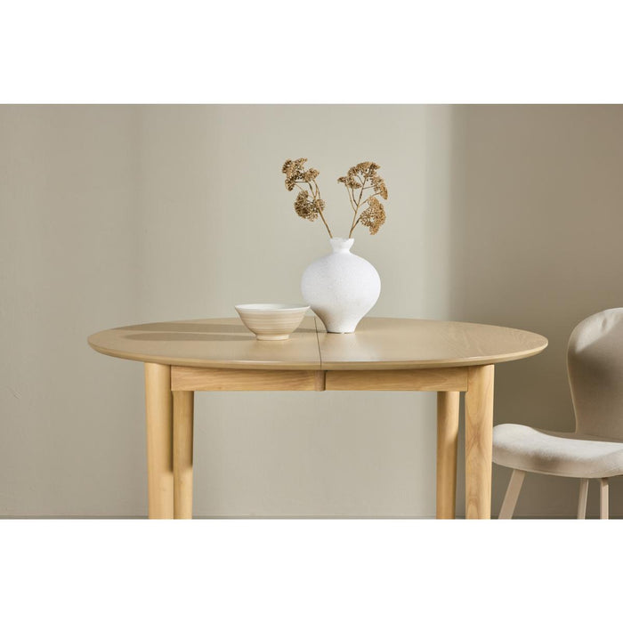 51accc51-bd96-401d-994a-c07ea4cab046-afbeelding4.jpg (9999563)