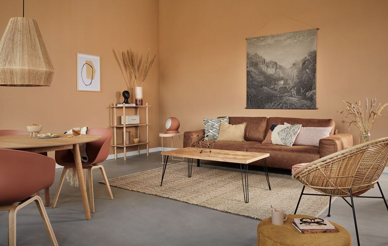 Shop de look: woonkamer in trendkleur terracotta