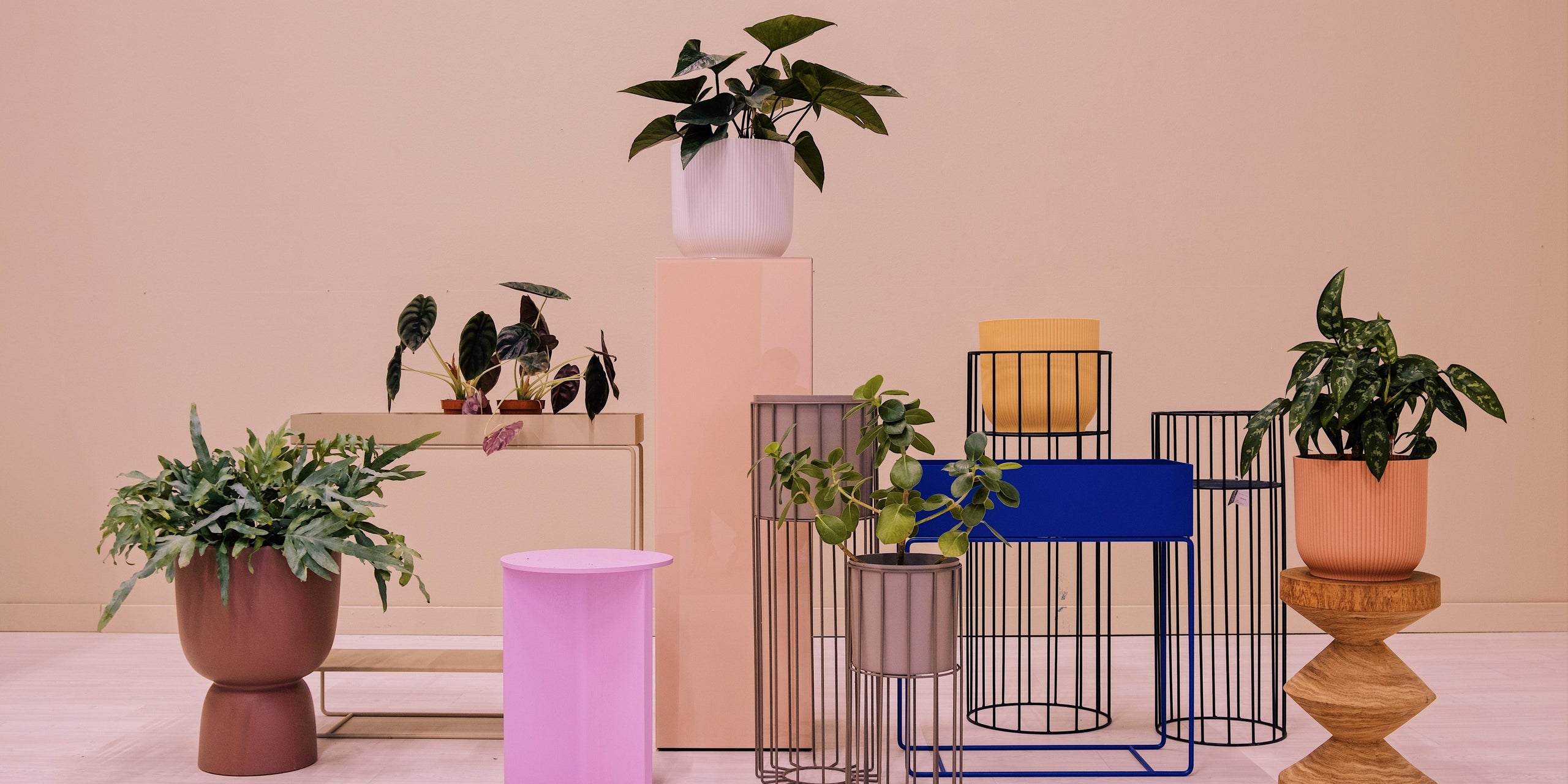 Woontrend: planten op een voetstuk