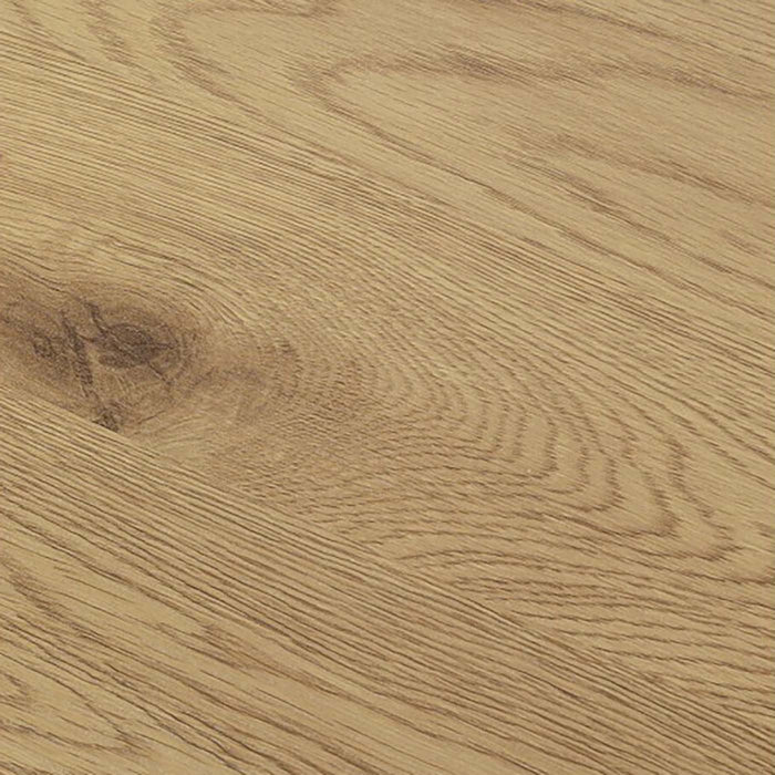 1f71fcca-6fb3-4324-b672-8470981563d6-afbeelding4.jpg (10011820) 