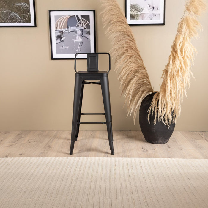 Fjôrd - Barkruk Zwart Met Rugleuning - Metaal - Tempe - Set van 4