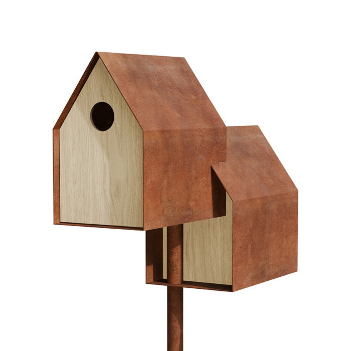 Noaste Noaber standing