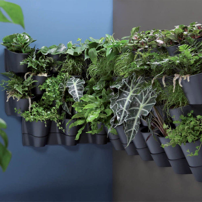 Prosperplast Plantenpotten - antraciet - L67 x B18 x H57cm