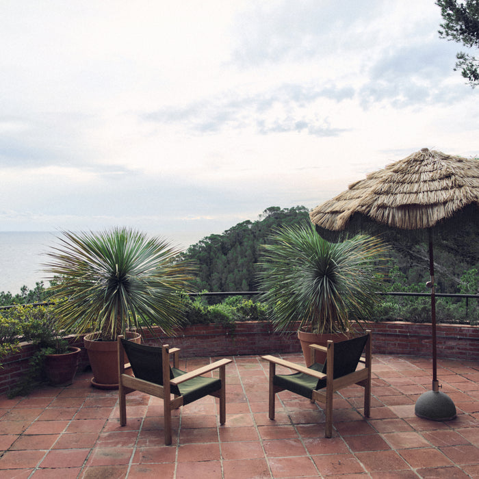 328647-x08-202503250522-A.jpg (10178100) 