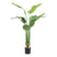 Countryfield  kunst plant Strelitzia S groen-L50B40H90CM