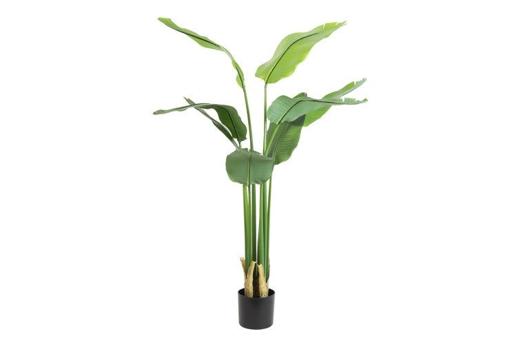Countryfield  kunst plant Strelitzia S groen-L50B40H90CM