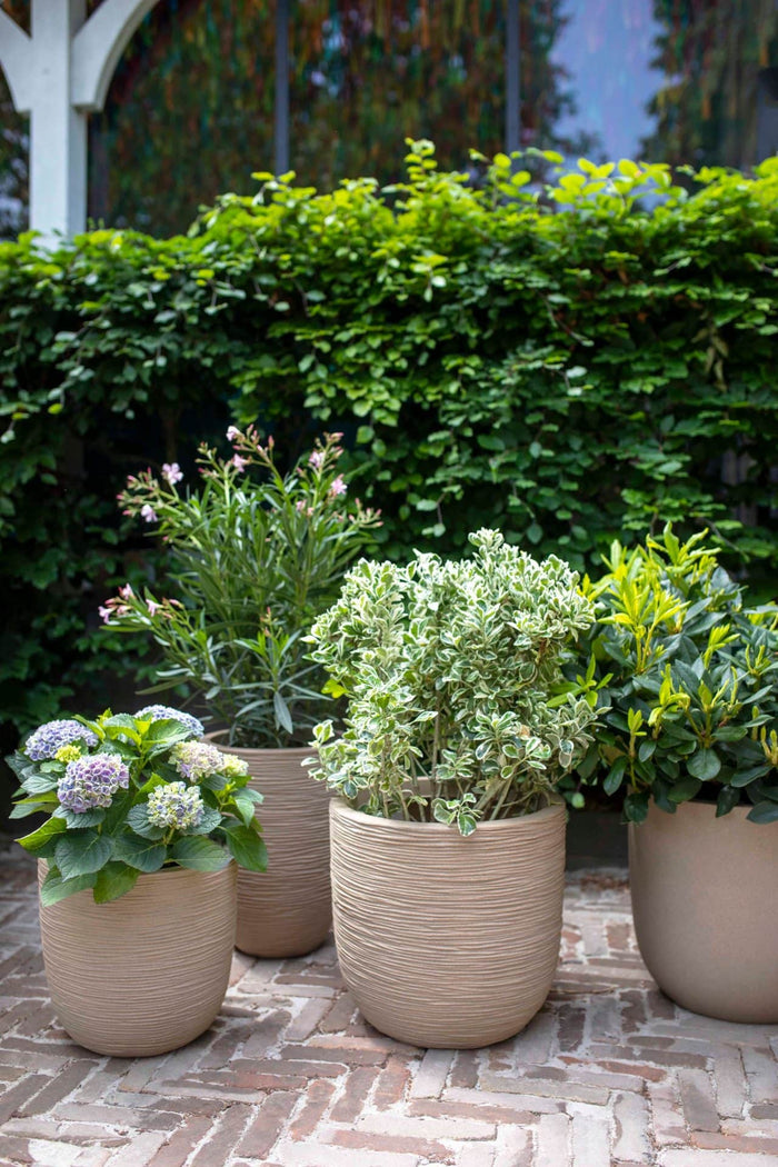 Capi Europe - Vaas elegant laag Waste Rib NL - 34x46 - Terrazzo beige