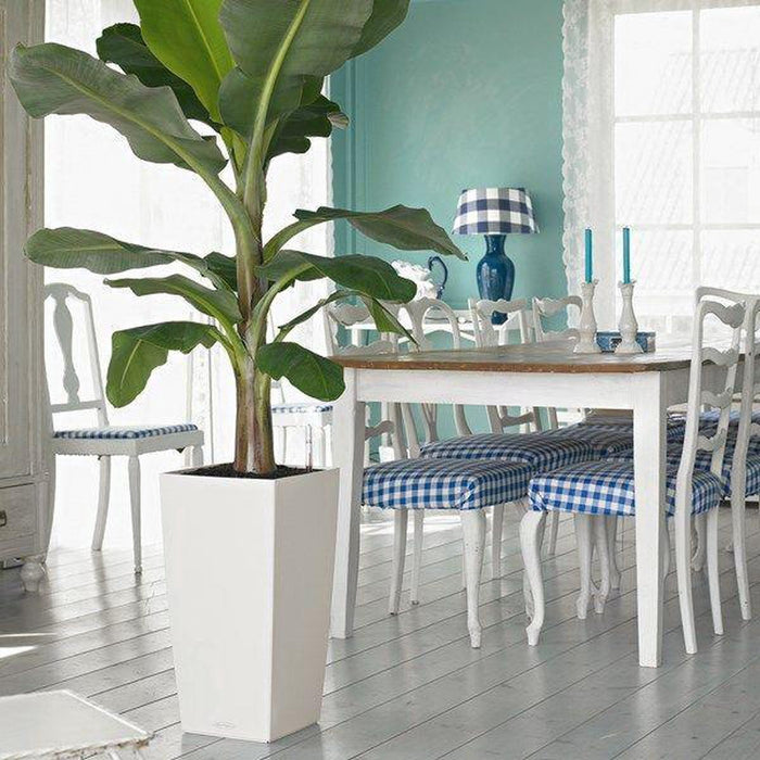 Prosperplast Bloempot Urbi - wit - kunststof - 61 cm