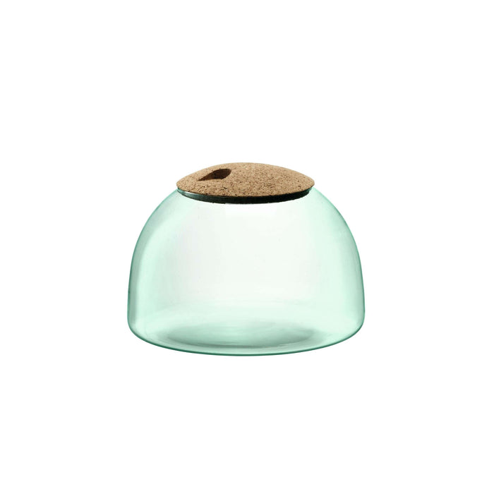 L.S.A. - Canopy Planten Terrarium 16,5cm