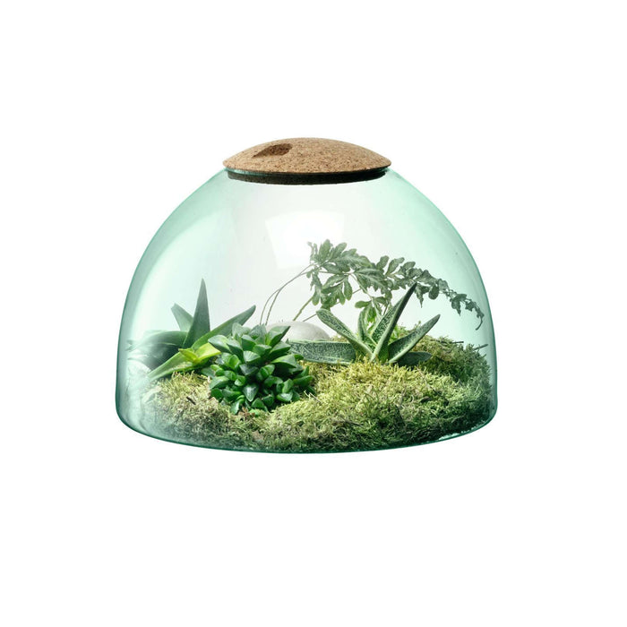 L.S.A. - Canopy Planten Terrarium 22cm