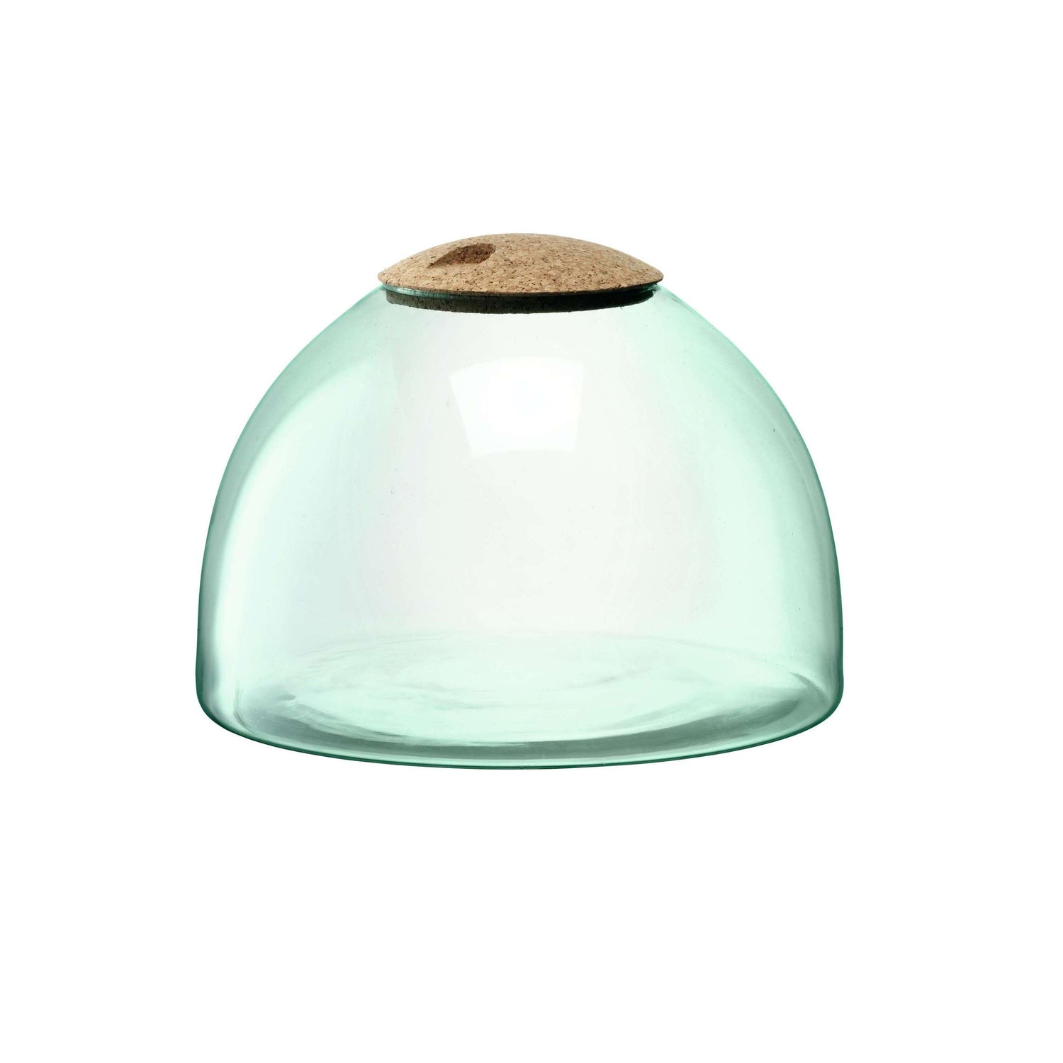 L.S.A. - Canopy Planten Terrarium 22cm