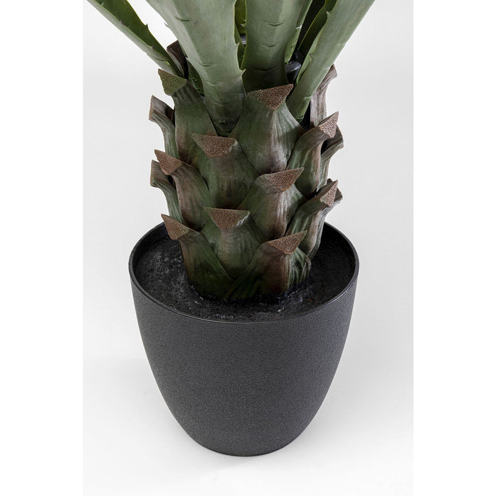 Kunstplanten agave 85cm Kare Design