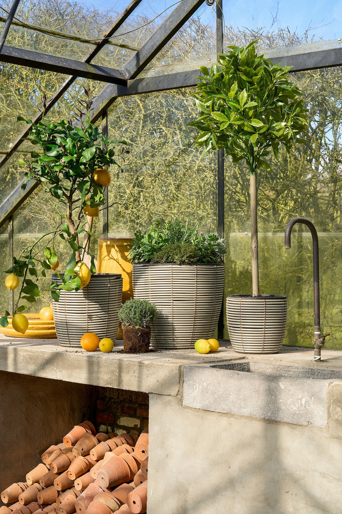 Mica Decorations Laurierboom Kunstplant - H120 x Ø40 cm - Groen