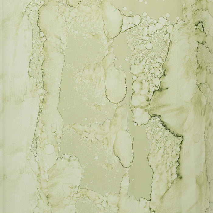 329000-x04-202504040423-A.jpg (10203648) 