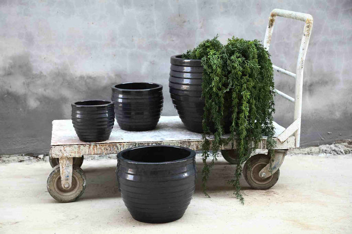 b0d924ff-7b91-4f04-b39f-40d36b4b2586-afbeelding4.jpg (10208765) 