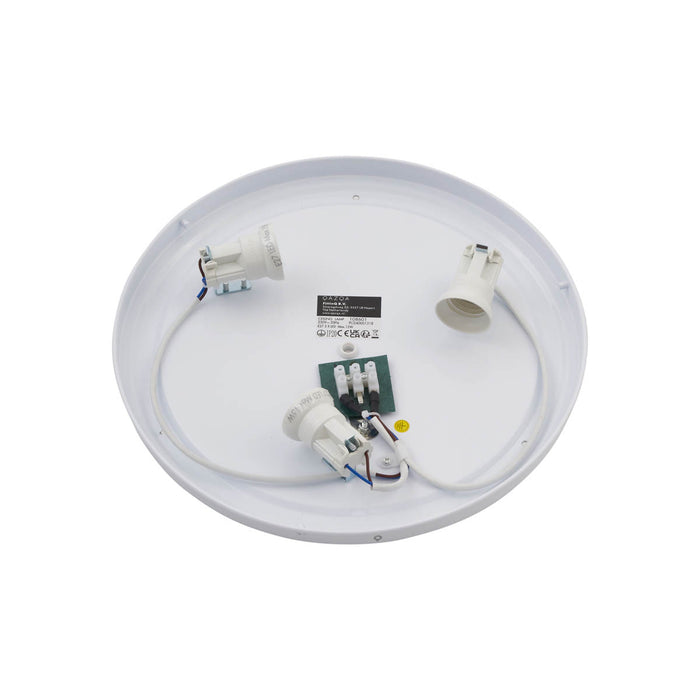 9059dc84-5ca2-4d4c-bdfc-138bc2184999-afbeelding10.jpg (10210126) 