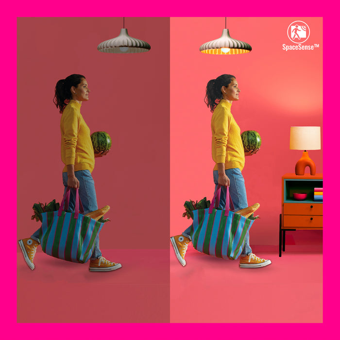 dae76229-bfa2-428d-bf60-05e7923f47bd-afbeelding5.jpg (10215398) 