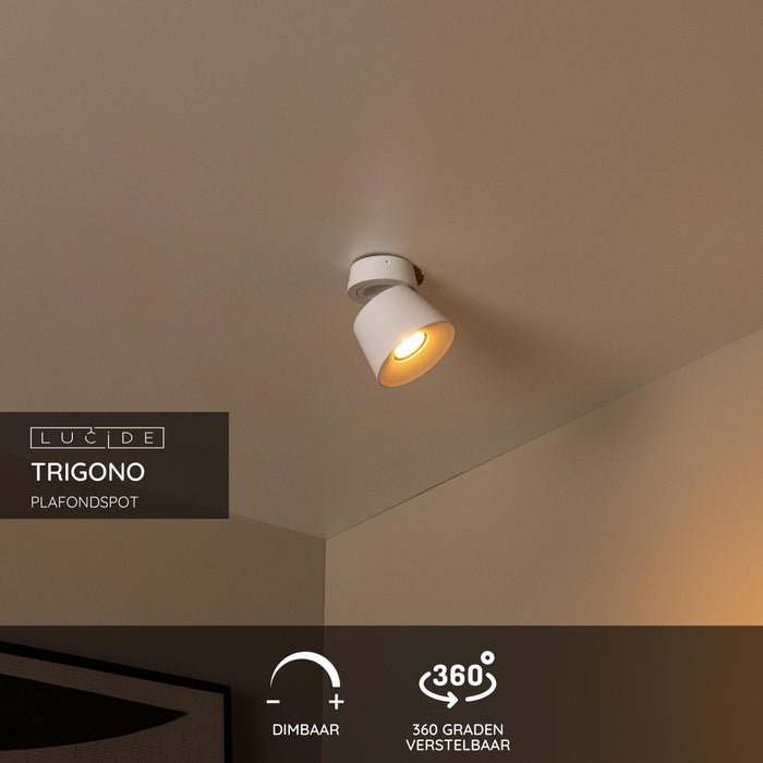 2498f4cf-7ace-4e14-b2fa-ef3fd0992c60-sfeerbeeld.jpg (10219630) 