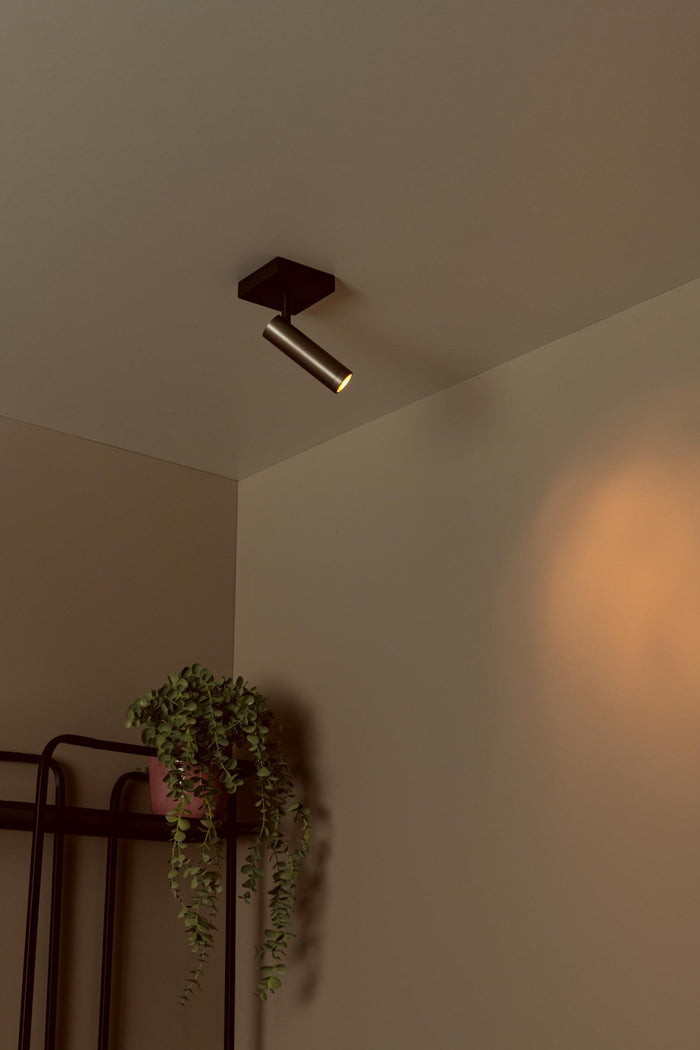 10214132-d20d-407a-b3c4-31846bc13075-afbeelding4.jpg (10219813) 