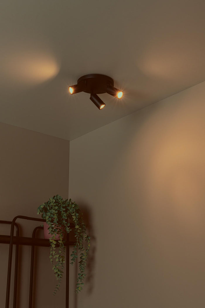 c924dea6-3d47-4a0a-b0eb-c19c2b23aa1c-afbeelding4.jpg (10219948) 