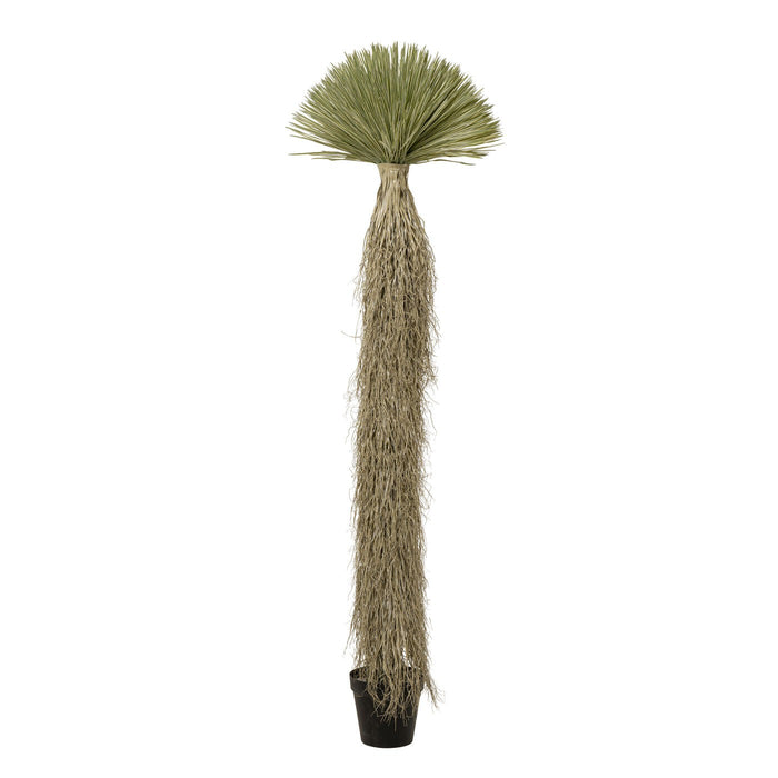 Kunstplanten Yucca 240cm Kare Design