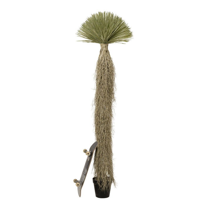 Kunstplanten Yucca 240cm Kare Design