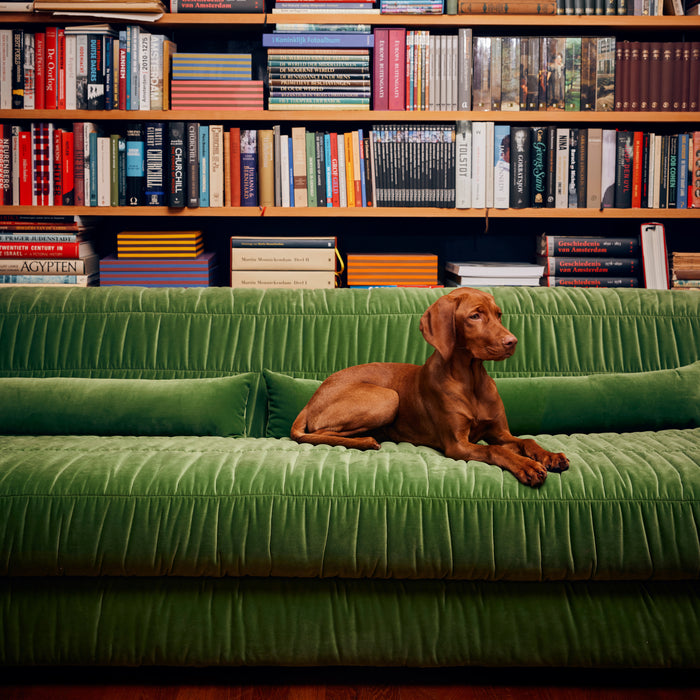 HKliving Club 4-zitsbank - Royal Velvet - Groen