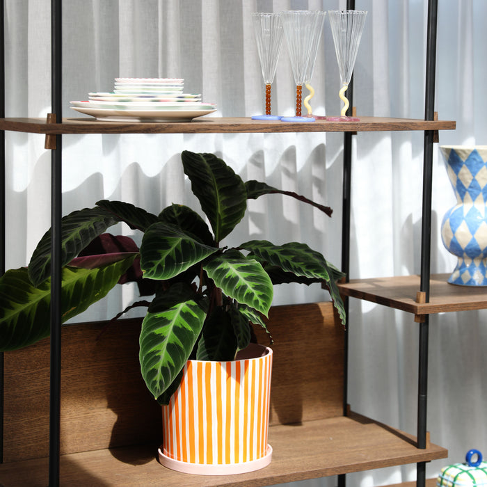 329830-x02-202504232226-A.jpg (10257271) 