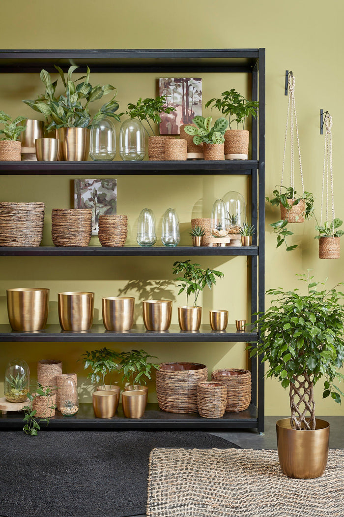 02f97534-9804-4339-8fe8-dfa3eb49f420-sfeerbeeld.jpg (10263292) 