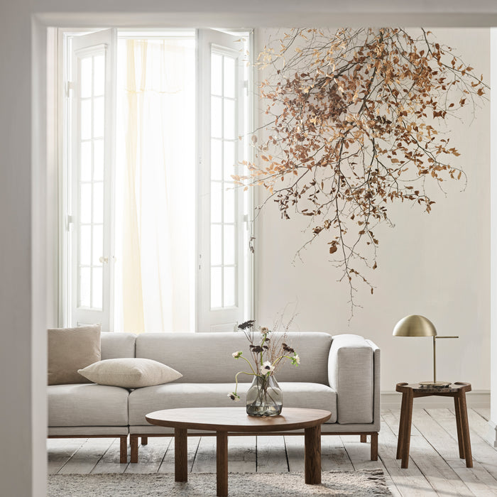 329473-x03-202505021422-A.jpg (10268734) 