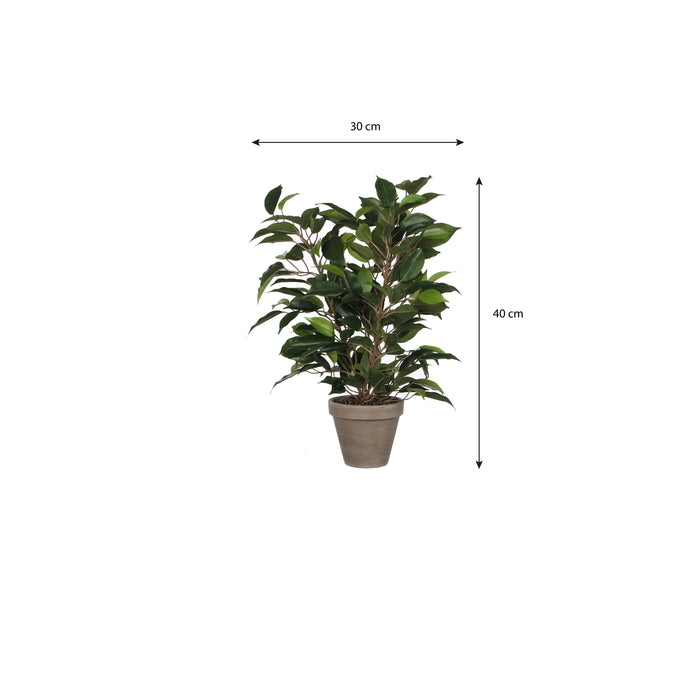 Mica Decorations Ficus Natasja Kunstplant in Bloempot H40 cm
